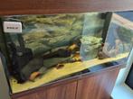 Rio 125 te koop, Ophalen, Gebruikt, Leeg aquarium