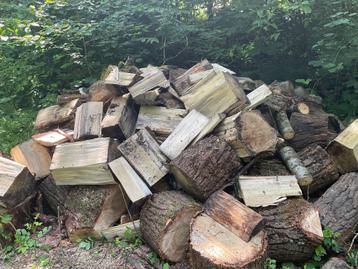 bois de chauffage, 3 à 6 m³, Enlèvement, Frêne, Bûches