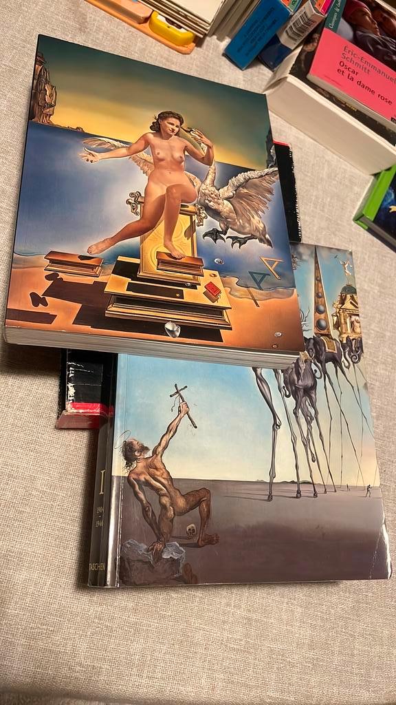 SALVADOR DALÍ geschilderde werk (TASCHEN) — Prestige editie, Boeken, Kunst en Cultuur | Beeldend, Zo goed als nieuw, Schilder- en Tekenkunst