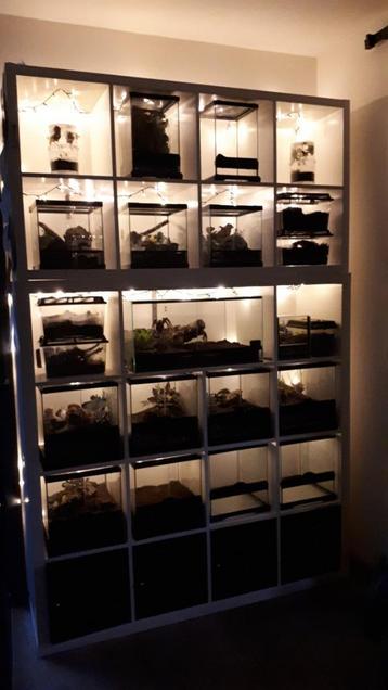 Terra, terrariums, exo terra beschikbaar voor biedingen