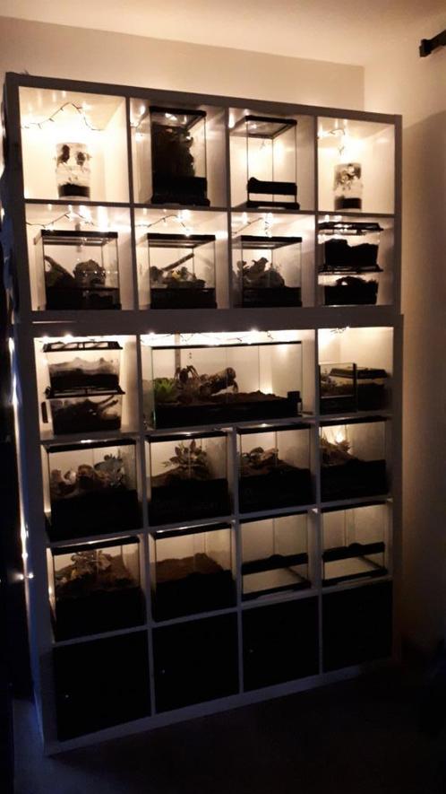 Terra, terrariums, exo terra, Dieren en Toebehoren, Reptielen en Amfibieën | Toebehoren, Zo goed als nieuw, Overige typen, Ophalen of Verzenden