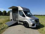 Mercedes-Benz Sprinter 314 AMG 2-paards paardenvrachtwagen B, Dieren en Toebehoren, Gebruikt, Overige typen