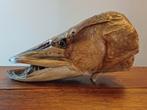 Taxidermie: snoek - rariteitenkabinet, Verzamelen, Ophalen of Verzenden, Gebruikt, Overige soorten, Gewei of Kop