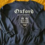 H&M blauwe sweater maat L, H&M, Blauw, Maat 42/44 (L), Ophalen of Verzenden