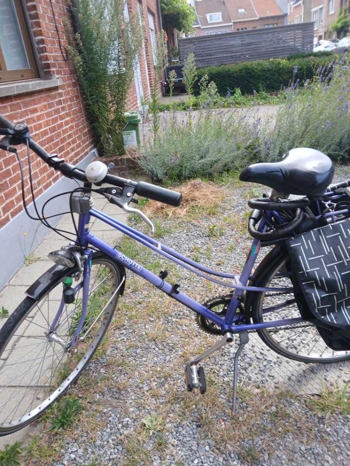 De Paarse fiets, Fietsen en Brommers, Brommerhelmen, Ophalen