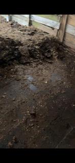 Poney kaka, Enlèvement, Comme neuf