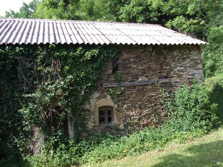 GEHUCHT VAN 2 HUIZEN/LAND ZUID-FRANKRIJK 81 TARN., Immo, Buitenland, Frankrijk, Overige soorten, Landelijk