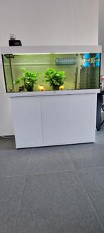 Compleet Juwel Rio 240 aquarium met accessoires - Topstaat!, Dieren en Toebehoren, Ophalen, Zo goed als nieuw