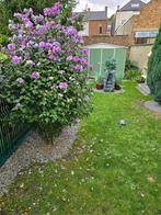 maison à vendre, Immo, Huizen en Appartementen te koop, 110 m², Tot 200 m², 2 kamers, Tussenwoning