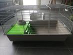 Caviakooi binnen met toebehoren, Dieren en Toebehoren, Knaagdieren en Konijnen | Hokken en Kooien, Kooi, Gebruikt, 75 tot 110 cm