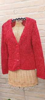 Vest maat 40 minuet, Kleding | Dames, Maat 38/40 (M), Ophalen of Verzenden, Zo goed als nieuw, Minuet