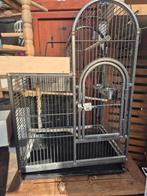 Papegaai kooi, Dieren en Toebehoren, Ophalen