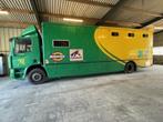 Paardenvrachtwagen, Auto's, Vrachtwagens, 4 zetels, Diesel, Particulier, DAF