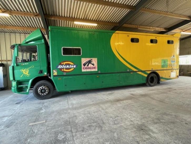 Paardenvrachtwagen, Auto's, Vrachtwagens, Particulier, DAF, Diesel, Ophalen