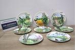 Set van 8 Wedgwood Landschap Borden, Antiek en Kunst