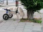 Walkin'Wheels - Adjustable wheelchair for pets, Ophalen of Verzenden, Gebruikt