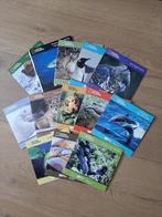 13 DVD's van National Geographic, Natuur, Ophalen of Verzenden, Zo goed als nieuw