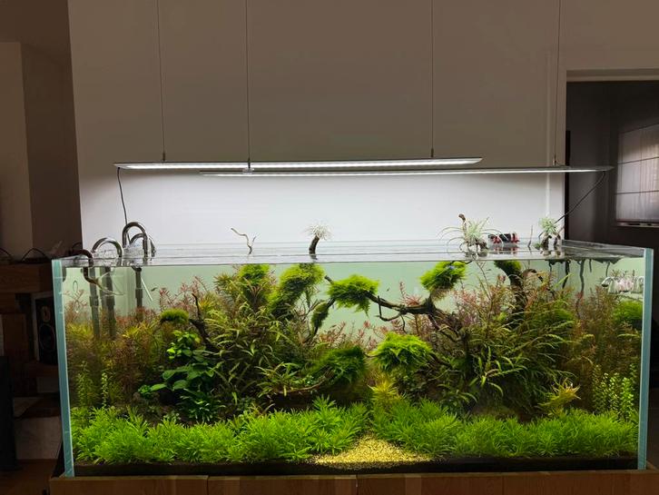 Aquarium 150x60x60cm 16mm randloos ultrawit, Dieren en Toebehoren, Vissen | Aquaria en Toebehoren, Zo goed als nieuw, Leeg aquarium