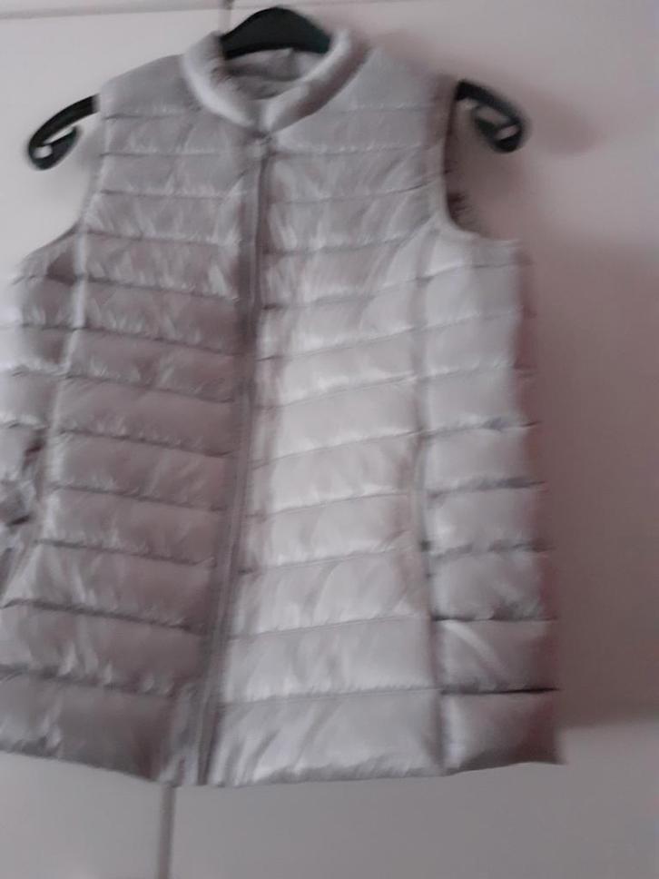 Zilver grijze bodywarmer    merk Opus maat 36, Kleding | Dames, Bodywarmers, Nieuw, Ophalen