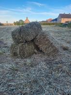 Kleine balen hooi eerste snede paarden hooi stofvrij, Ophalen, Vee