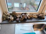 Aquariumstenen (Bieden naar waarde), Ophalen, Gebruikt, Plant(en), Steen of Hout