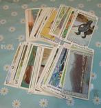 Chromos Stollwerck Chocolade +60st divers, Gebruikt, Verzenden, Voor 1940, Prent