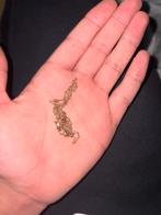 Gouden ketting, Handtassen en Accessoires, Kettingen, Ophalen of Verzenden, Zo goed als nieuw, Goud, Goud