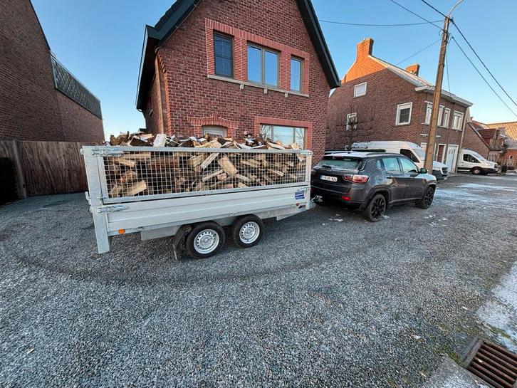 Brandhout populier, Tuin en Terras, Brandhout, Blokken, Overige houtsoorten, 3 tot 6 m³, Ophalen of Verzenden