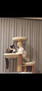 Kwalitatieve Krabpaal (2 stuks) voor Katten - Zelf Monteren, Dieren en Toebehoren, Ophalen, Gebruikt, Krabpaal