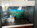 aquarium, Dieren en Toebehoren, Vissen | Aquaria en Toebehoren, Ophalen, Gebruikt, Leeg aquarium