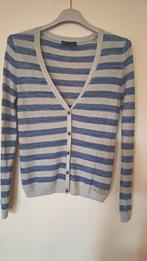 Kleine trekker/vest 'Guess', 36 S, Guess, Ophalen of Verzenden, Gedragen, Maat 36 (S)