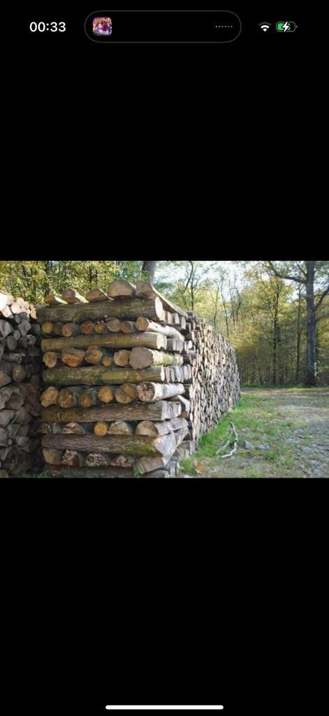 Bois de chauffage sec – livré et rangé chez vous !, Tuin en Terras, Brandhout, Verzenden