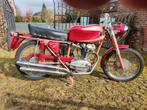 DUCATI 175 SPORT 1962, 100 SPORT 1959, Motoren, Sport