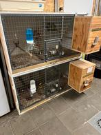 2 kweekkooien met blok te koop, Ophalen of Verzenden, Zo goed als nieuw