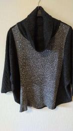 Grijze wijde pull met pailletten - Cassis - extra large, Vêtements | Femmes, Enlèvement ou Envoi