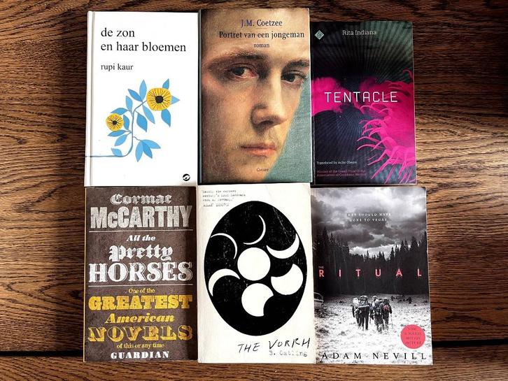 Diverse Boeken €4,00 p/s (3 voor €10,00), Boeken, Literatuur, Zo goed als nieuw, Wereld overig, Ophalen of Verzenden