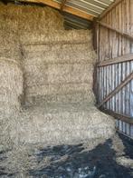 Foin 2024, Dieren en Toebehoren, Dierenvoeding, Ophalen