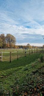 Prive stal 9 boxen + toebehoren