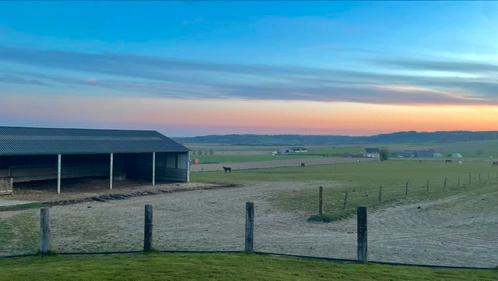 Paardenpension (gepensioneerd), Dieren en Toebehoren, Stalling en Weidegang, Stalling, Weidegang