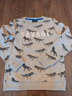 Trui met wolvenprint, maat 146, nachtwacht, Kinderen en Baby's, Kinderkleding | Maat 146, Gebruikt, Trui of Vest, Ophalen of Verzenden