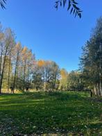 weide, Weidegang