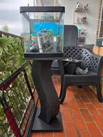 Aquarium, Dieren en Toebehoren, Ophalen