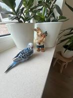 Mooie Tamme Grasparkiet, Dieren en Toebehoren, Vrouwelijk, Parkiet, Tam