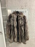 Echte pelsjas echte VOS 42-44, Kleding | Dames, Ophalen, Zo goed als nieuw, Maat 42/44 (L)