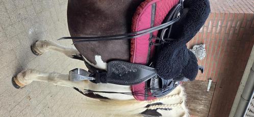 Western zadel edix django, Dieren en Toebehoren, Paarden en Pony's | Zadels, Nieuw, Western, Ophalen