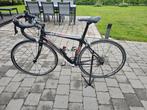 Zannata carbon 9 speed, Ophalen, Gebruikt