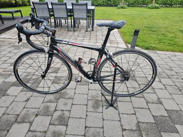 Zannata carbon 9 speed beschikbaar voor biedingen