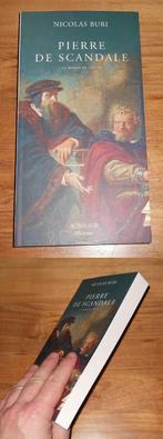 Pierre de scandale, le roman de Calvin (Nicolas Buri), Livres, Romans historiques, Enlèvement ou Envoi