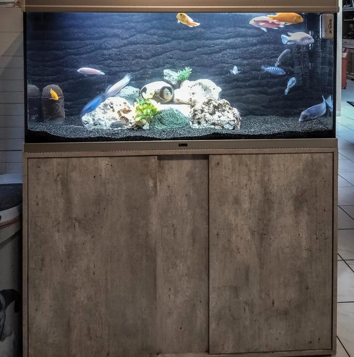 Complete aquarium Aquatlantis 120 cm + kast – Zeer compleet, Animaux & Accessoires, Poissons | Aquariums & Accessoires, Comme neuf