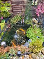 Vijver, Tuin en Terras, Vijvers, Ophalen, Gebruikt